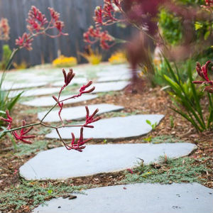 BLUESTONE ROUNDS 30MM, AVE SIZE 800X600 ($/UNIT)